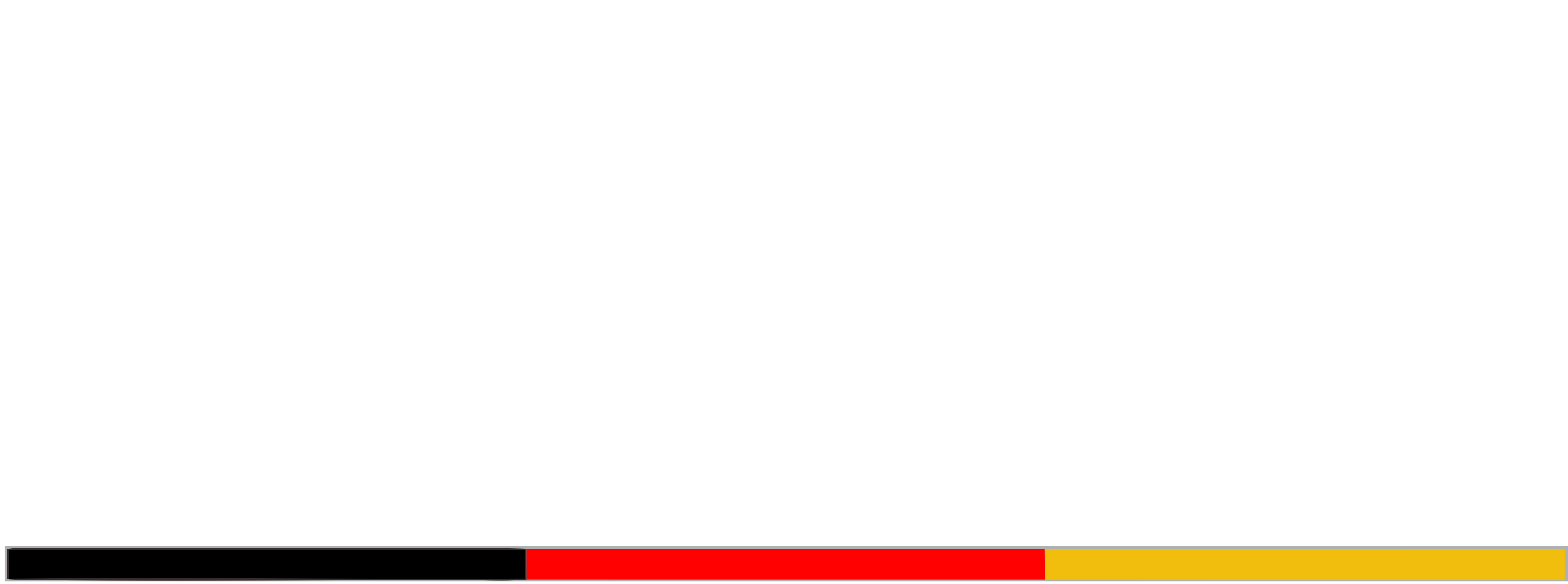 LOGO-gb-Team-Germany-weiss