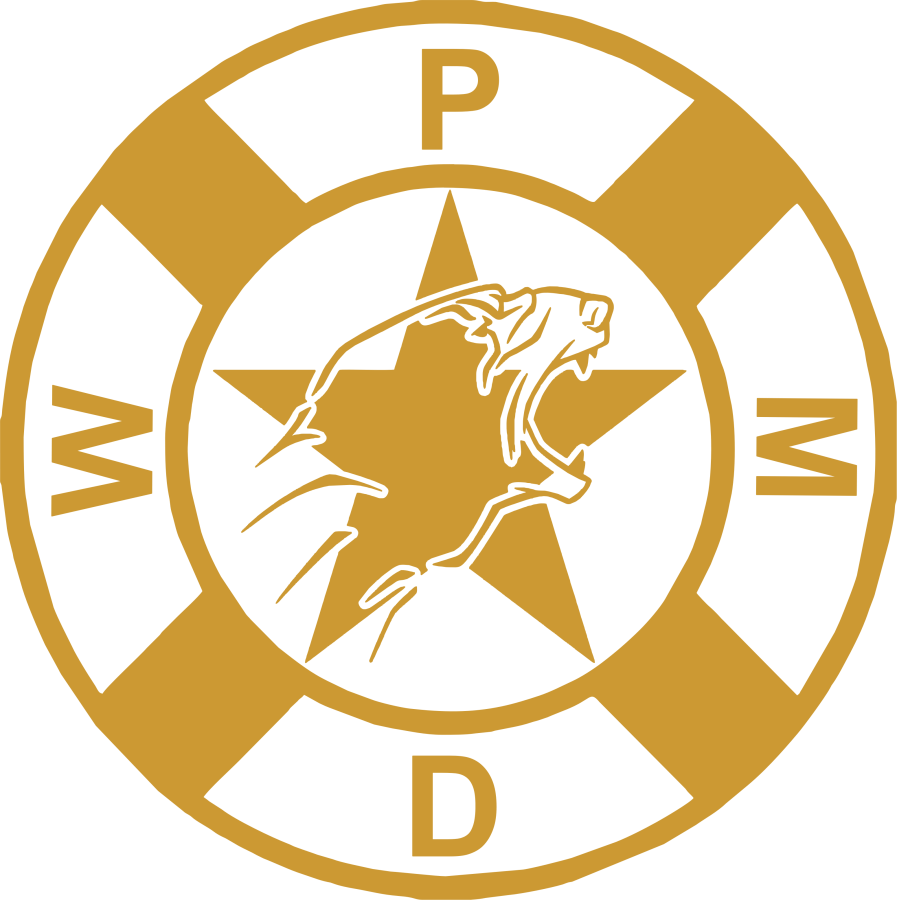 LOGO-gb-WPMD-STERN-RRing-gold