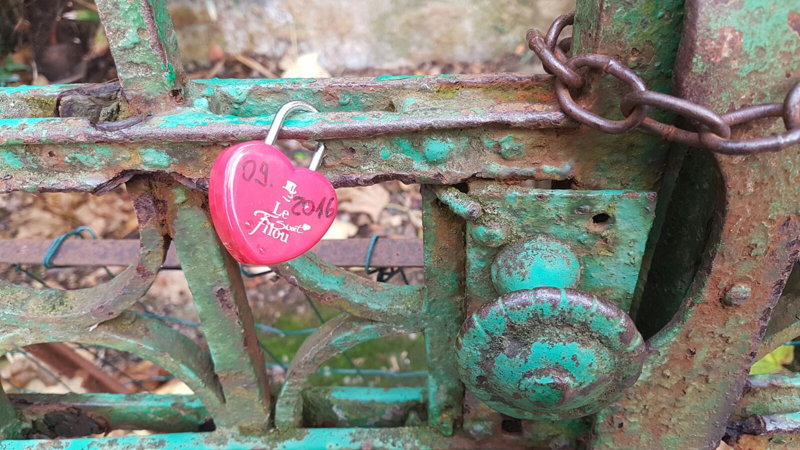 055-IMG-20160917-WA0020