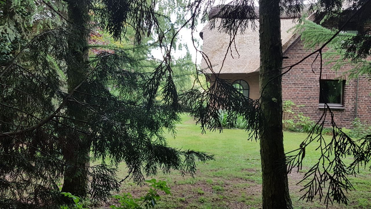 066-IMG-20170512-WA0003