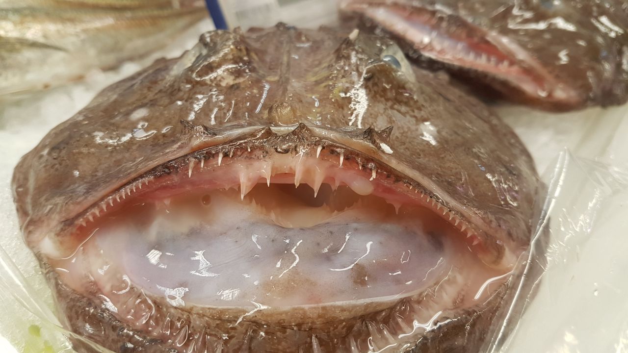 069-IMG-20170519-WA0004