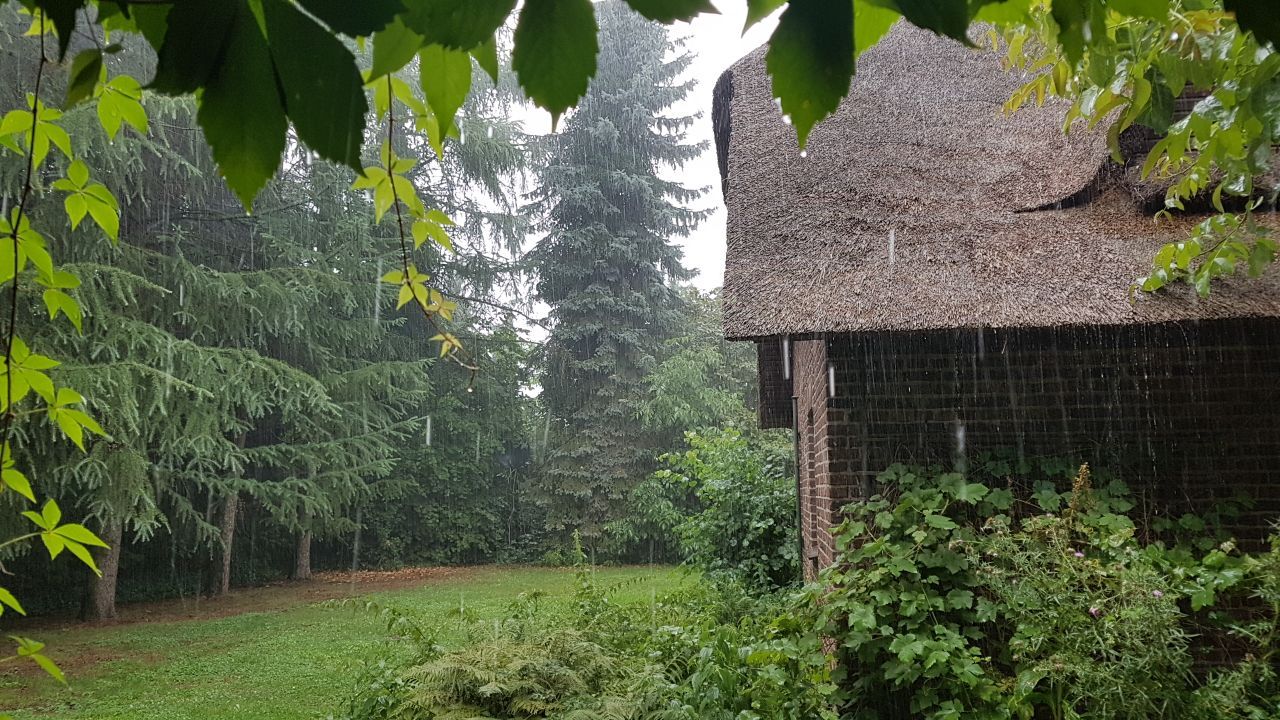 077-IMG-20170720-WA0003