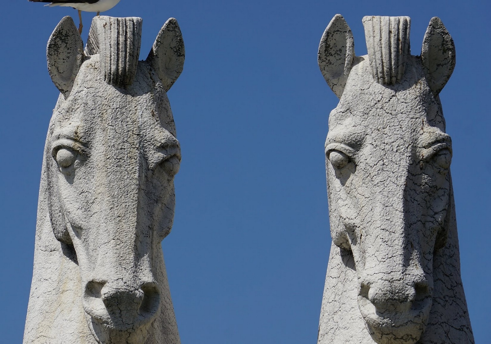 156-IMG 20171105 211228 736