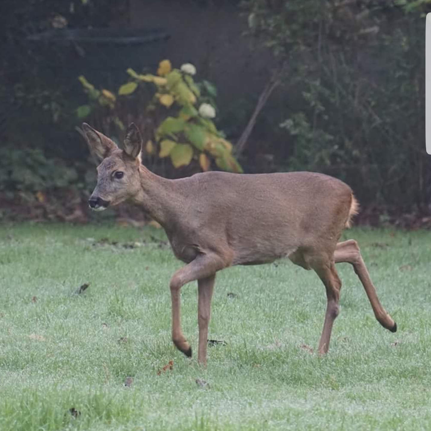 164-IMG 20171105 212327 721