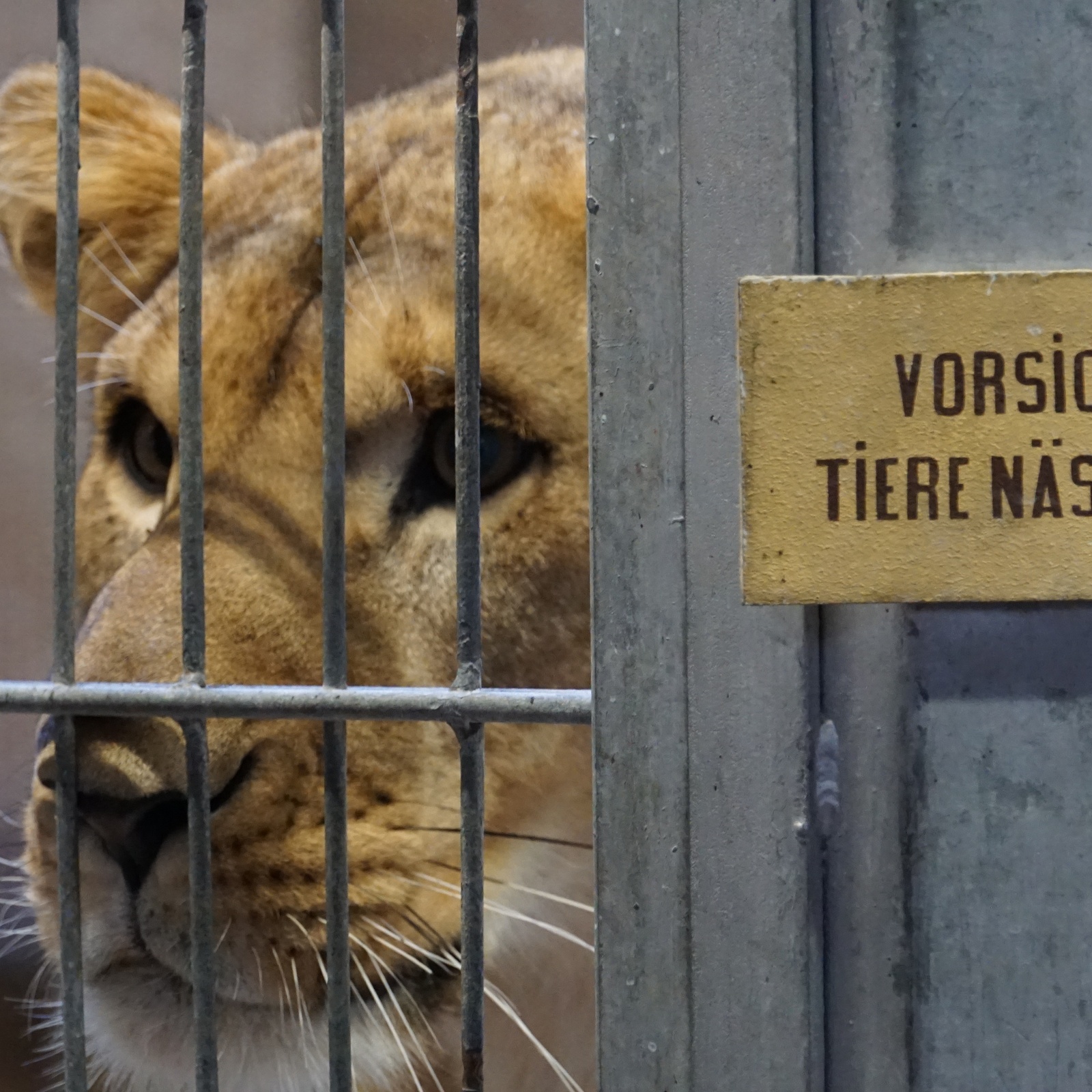 174-IMG 20171104 170640 191