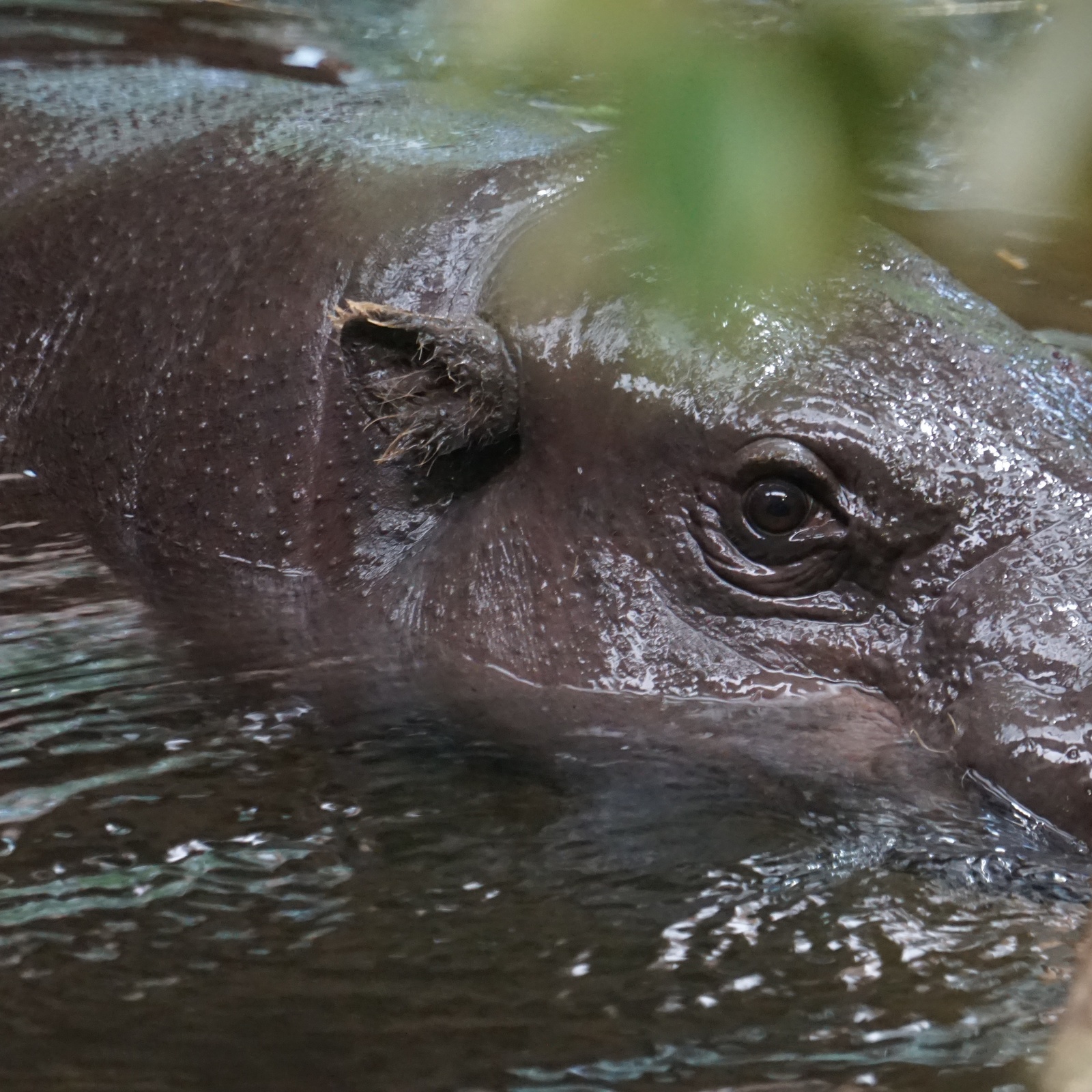 175-IMG 20171104 170528 051