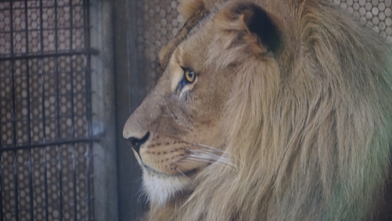 182-IMG-20171003-WA0005