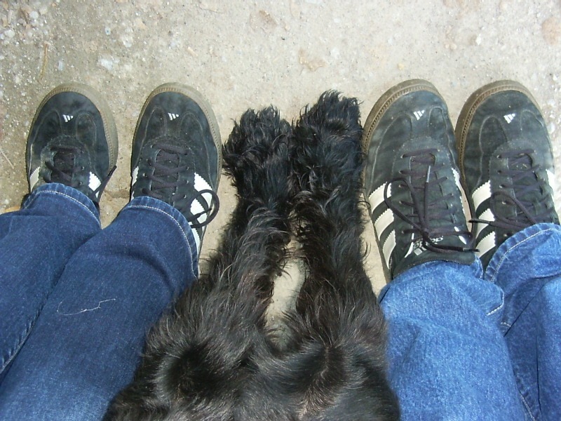 191-IMG-20170906-WA0000