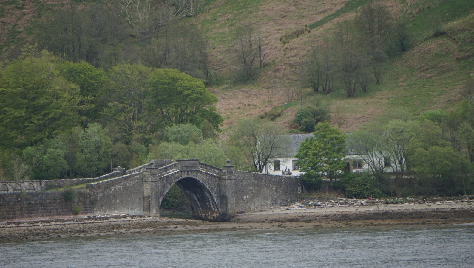 006-DSC02178
