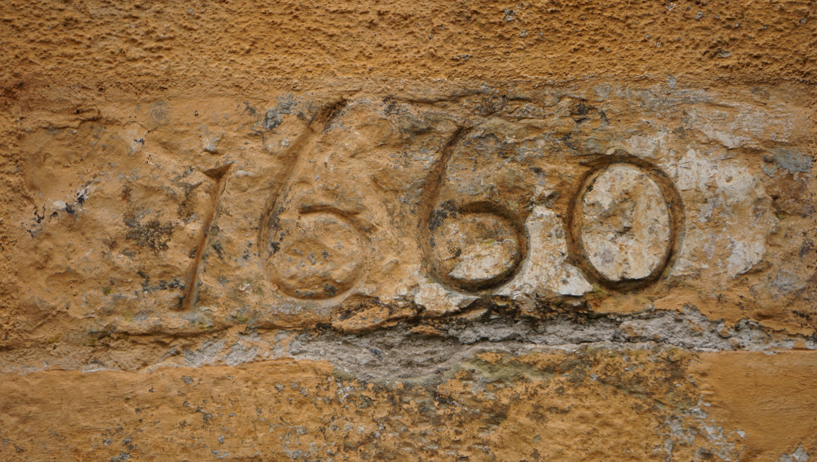 038-DSC03723