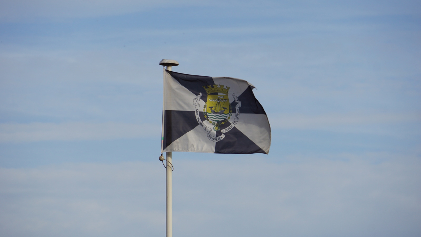 246-DSC02292