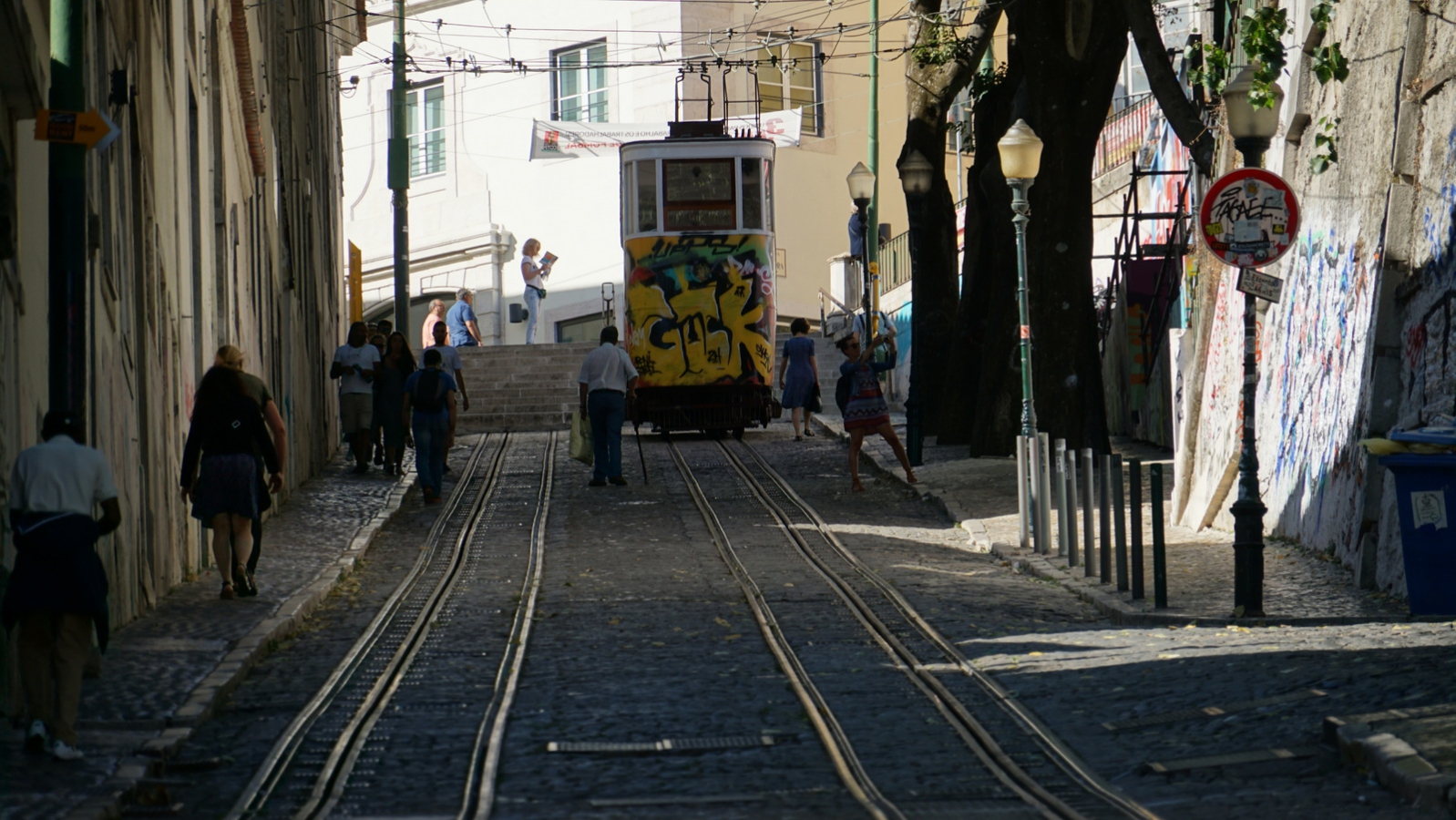 252-DSC02393