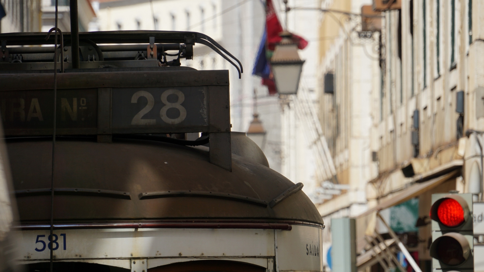 254-DSC02430