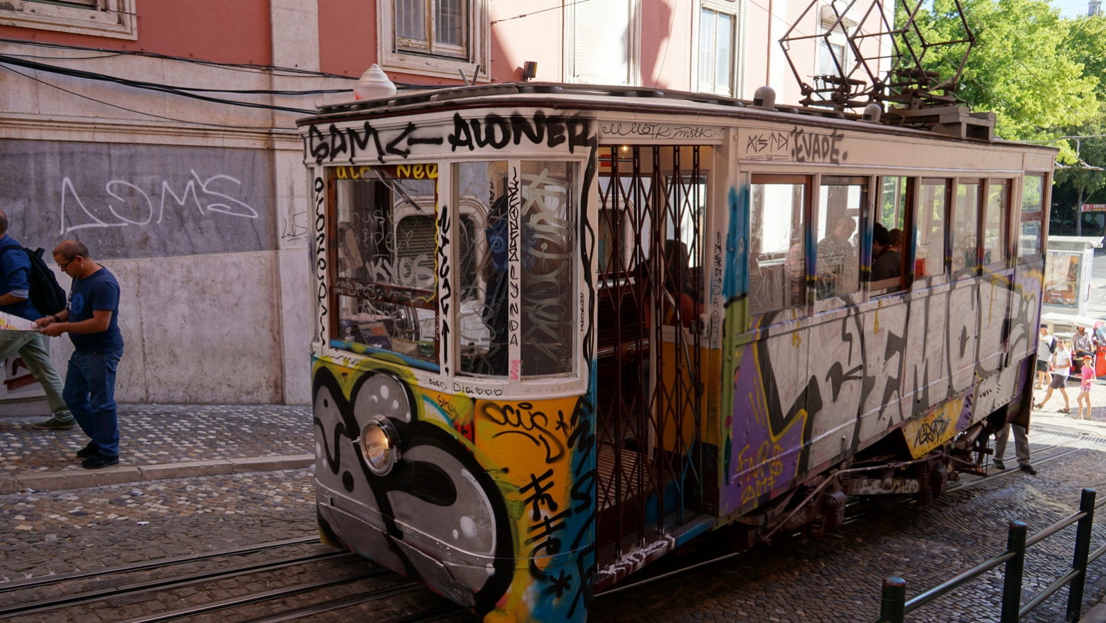 290-DSC02385