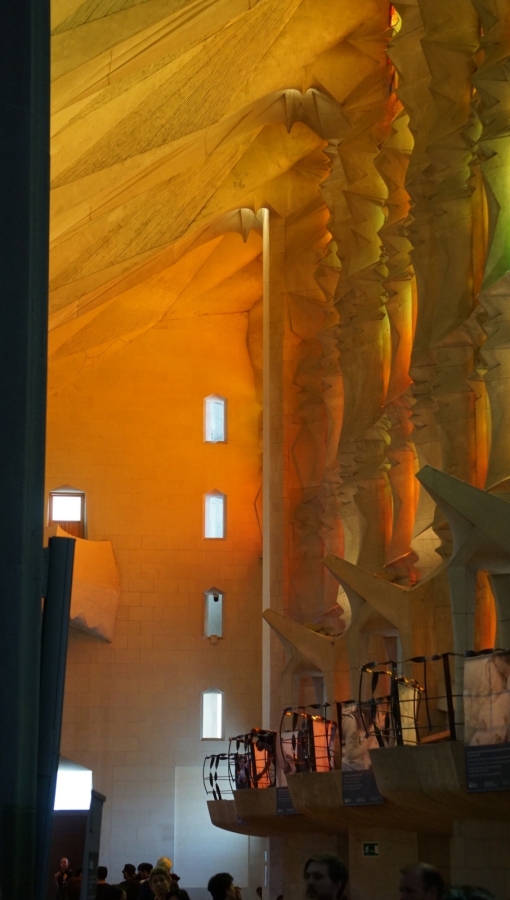 343-DSC05923