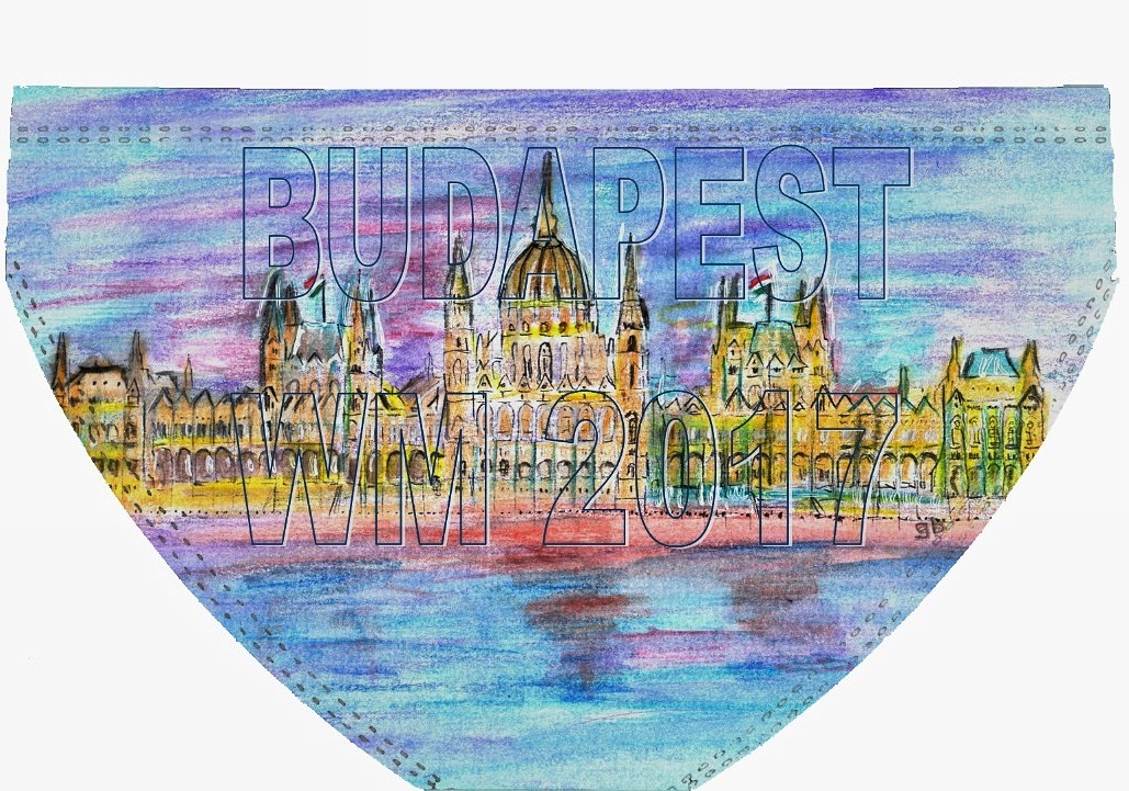 16-IMG-20170603-WA0010