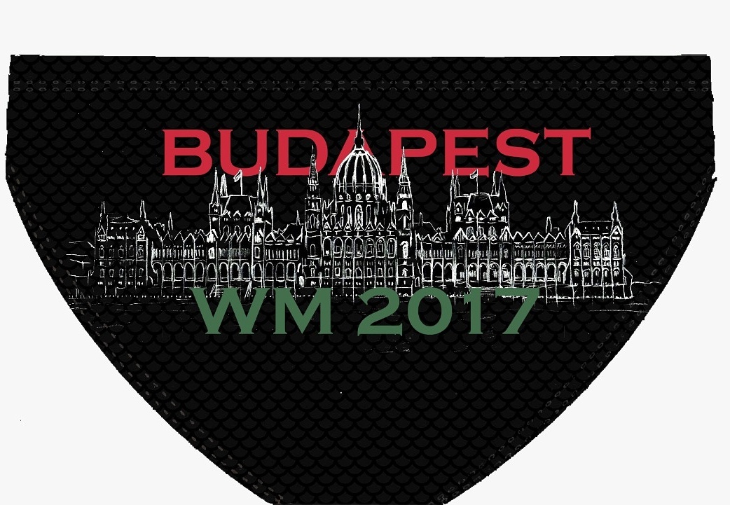 26-IMG-20170623-WA0007